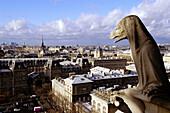 Rooftops and gargoyle from Notre-Dame. Paris. France