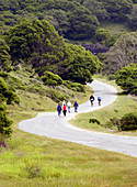 People walking on Angel Island trail. Bay area, California. USA.