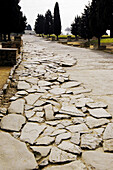 Paving of Roman road. Italica. Andalucia. Spain