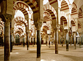 Great Mosque of Córdoba. Andalusia. Spain