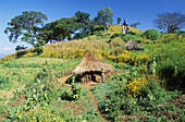 Oromo ethnic group village. Metu, Ilubabor region, Ethiopia