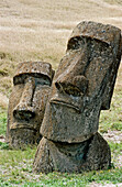Rano Raraku. Moai quarry. Easter Island. Chile.