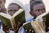 Koranic school. Dankalie desert. Eritrea. Africa.