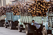 Open air market, Sha Pin Village, Yunnan Province, China.