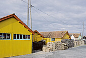 The oyster road between Le Château and Boyardville (signposted Route des huîtres ), winds between channels, oyster huts and claires . Island of Oléron. Charente-Maritime province. Atlantic Coast. France.