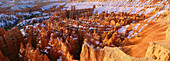 Bryce Canyon. Utah. USA