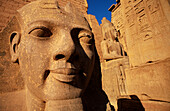 Sphinx in Luxor Temple. Egypt