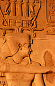 Relief in Kom Ombo Temple. Egypt