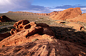 Valley of Fire State Park. Nevada. USA