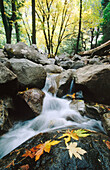 Creek in Yosemite National Park. California, USA