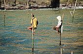 Stilt-fishermen. Sri Lanka