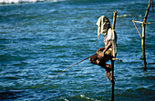Stilt-fisherman. Sri Lanka