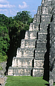 Mayan temple. Tikal. Guatemala