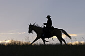 Cowboy silhouette. Montana. USA