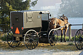 Amish life in Millersburg and Sugrar Creek Holms County Ohio