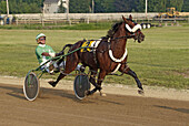 Harness trotter horse racing event held at Croswell. Michigan, USA