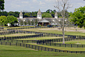 Horse farms in Ocala Florida. USA.