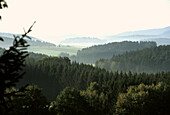 Landscape near Grafenau, Bavarian Forest, Lower Bavaria, Bavaria, Germany