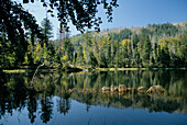 Rachelsee Lake in Bavarian Forest National Park, Bavaria, Germany