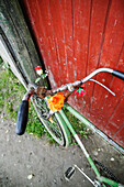 Bicycle with flowers, Transylvania, Romania