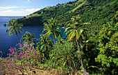 View at Hapatoni Bay at Tahuata Island, French Polynesia