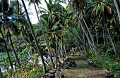 Die alte Königsstrasse in Hapatoni auf der Insel Tahuata, Französisch Polynesien