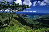 View to the town of Taiohea on the island of Nuku Hiva, French Polynesia