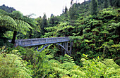 Die Bridge to Nowhere, Brücke nach Nirgendwo im Grünen, Nordinsel, Neuseeland