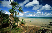 Bay and beach at the top of the Cape York Peninsula, Queensland, Australia