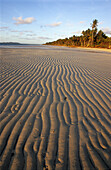 Chili Beach im Iron Range National Park auf der Cape York Halbinsel, Queensland, Australien