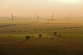 Windräder im Abendlicht, Region Hannover, Niedersachsen, Deutschland
