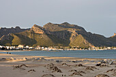 Dünen nahe Port de Pollenca, Mallorca, Balearen, Spanien, Europa