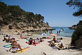 Strand und Bucht von Cala Cap Falco, nahe Magaluf, Mallorca, Balearen, Spanien, Europa