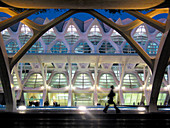 Science Museum Principe Felipe, City of Arts and Sciences. Valencia. Spain