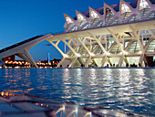 Príncipe Felipe museum of sciences, City of Arts and Sciences, by S. Calatrava. Valencia. Spain