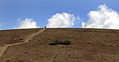 Teide National Park. Tenerife. Canary Islands. Spain