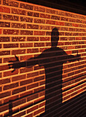 Shadow on the wall
