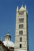Belfry of the Duomo cathedral. Siena. Tuscany. Italy