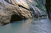 The Narrows. Virgin River. Zion Canyon. Zion National Park. Utah, USA.