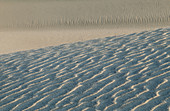 Sand dunes in Death Valley National Park. California. USA