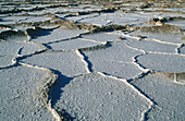 Salt crystal formations. Death Valley National Park. California, USA