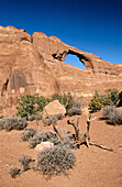 Natural arch out of rock. Skyline Arch. Arches National Park. Utah. USA.