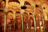 Mosque of Cordoba. Andalusia. Spain