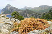 El Colomer viewpoint, Formentor cape. Majorca, Balearic Islands. Spain