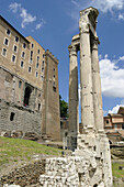 Roman Forum. Temple della Concordia. Lazio. Roma