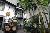 Winery. The old Blandy wine lodge. Funchal. Madeira. Portugal