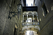 Carrer del Bisbe. Gothic Quarter. Barcelona. Catalonia. Spain