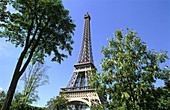Trees and Tour Eiffel. Champs de Mars. Paris. France