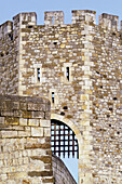 Medieval bridge. Besalú. Girona province. Catalunya, Spain