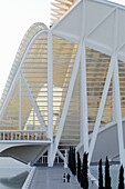 Príncipe Felipe museum of sciences, City of Arts and Sciences, by S. Calatrava. Valencia. Spain